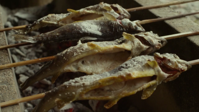 ( ˶‾᷄࿀‾᷅˵ )