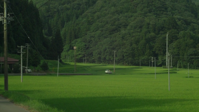 ( ˶‾᷄࿀‾᷅˵ )