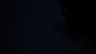 ( ˶‾᷄࿀‾᷅˵ )