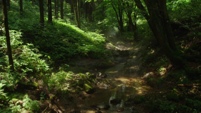 ( ˶‾᷄࿀‾᷅˵ )