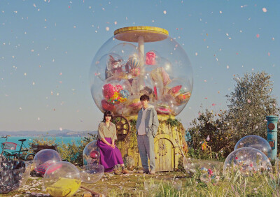 小松菜奈 × 菅田将晖 | niko and…KEY VISUAL 2019 SPRING浪漫春日里的甜甜童话气息，苏打和Nana的神仙同框