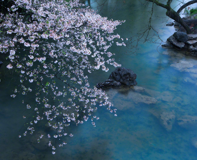 &quot;你來時(shí)冬至，但眉上風(fēng)止，開口是'我來得稍稍遲'。大抵知心有庭樹，亭亭一如你風(fēng)致。&quot;《此日無事》