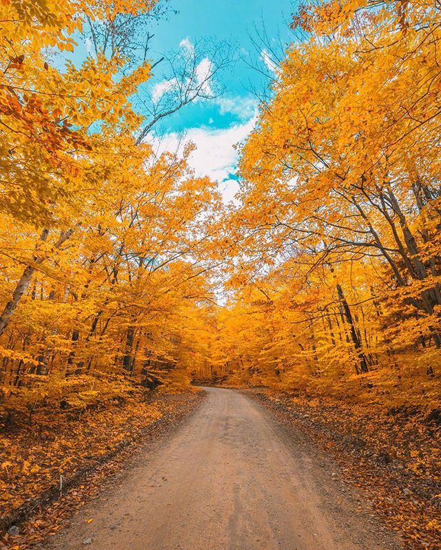 有些路看起来很近走去却很远的，缺少耐心永远走不到头。——沈从文