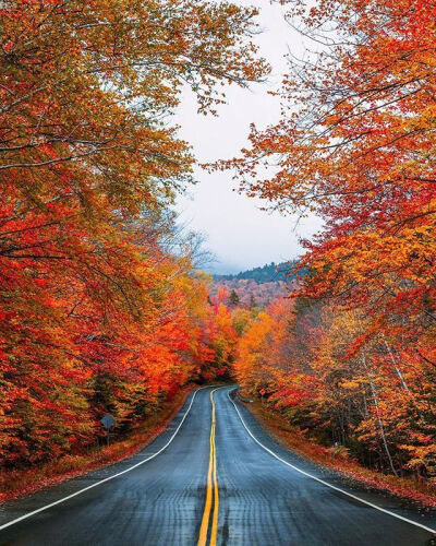 有些路看起来很近走去却很远的，缺少耐心永远走不到头。——沈从文