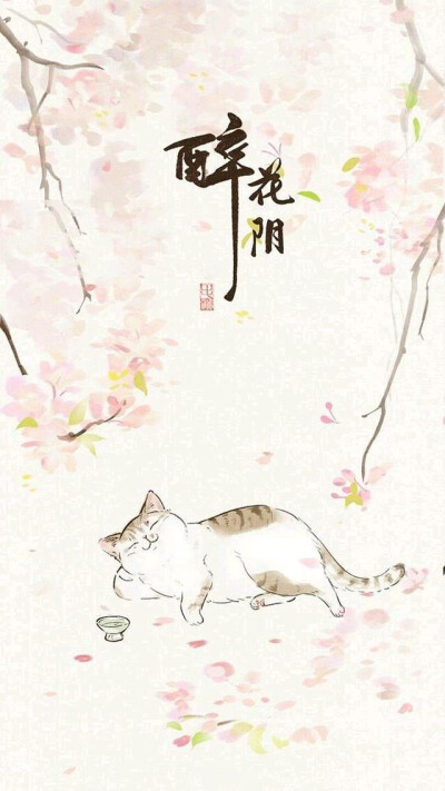 猫
壁纸