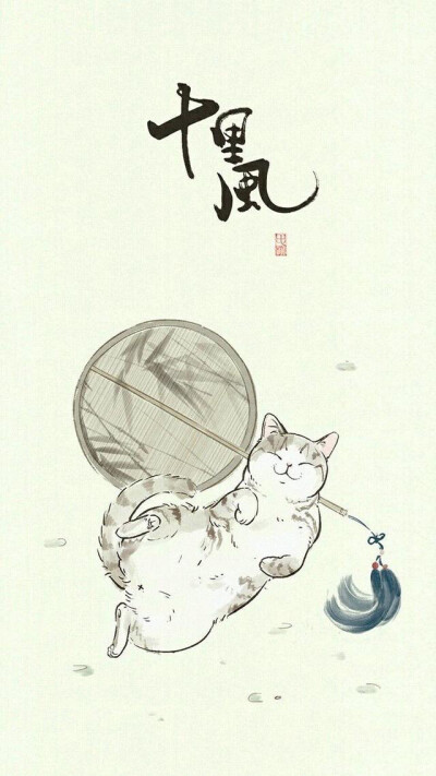 猫
壁纸