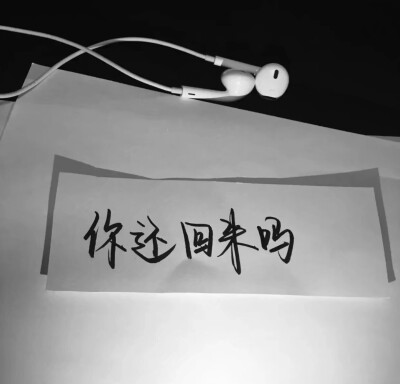 文字背景壁纸