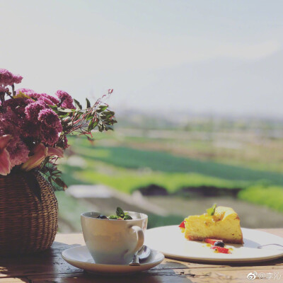 野餐