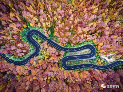 摄影欣赏 风景 公路