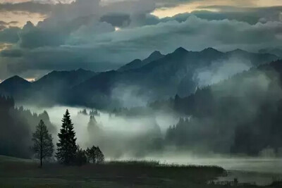 摄影欣赏 森林 风景