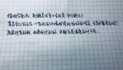 练字 句子