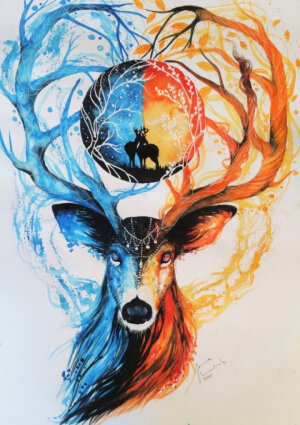 惊艳的动物水彩画by：Jonna Hyttinen