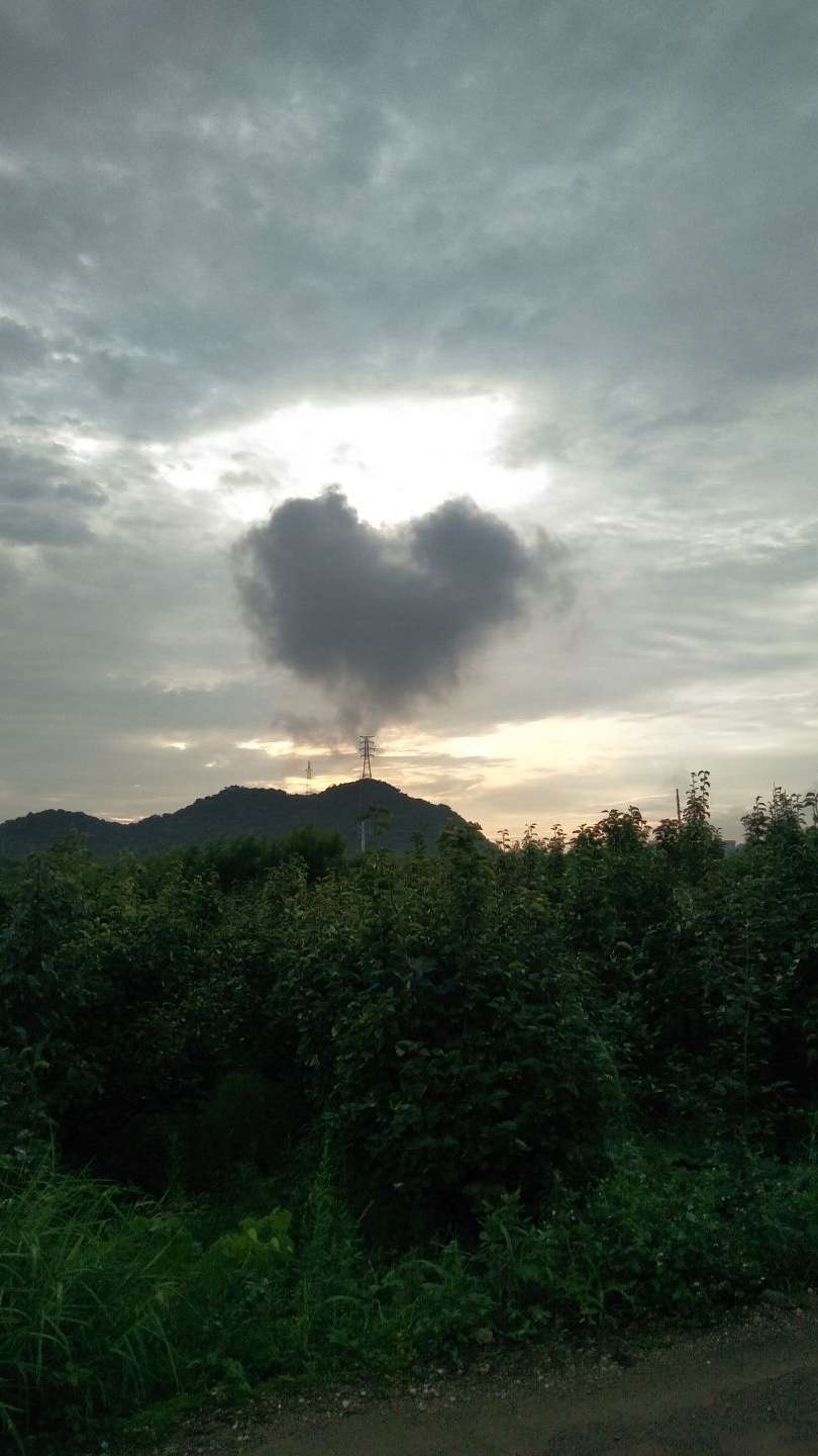 壁纸.背景.仙气.风景.