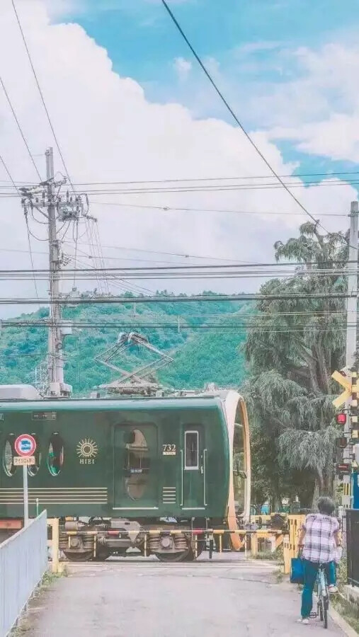 物 风景