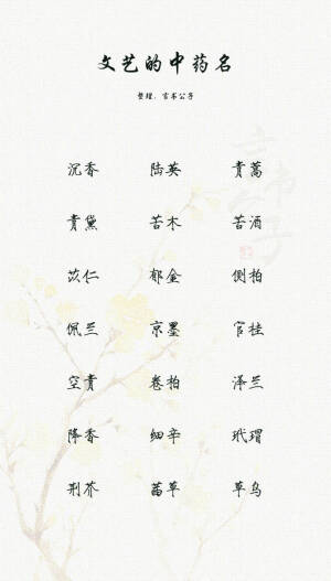 网名
