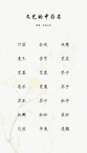 网名