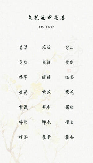 网名