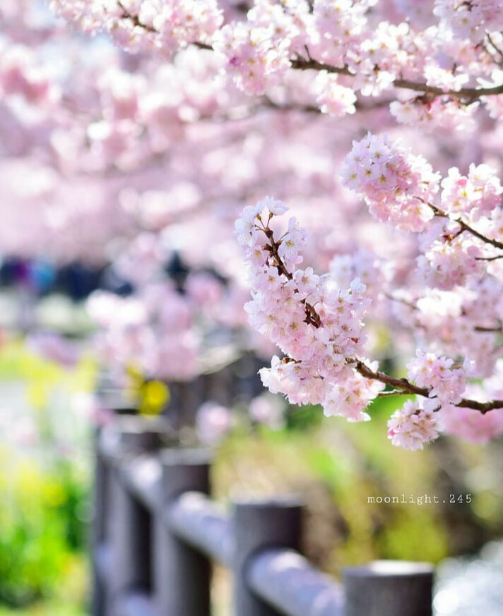 風景