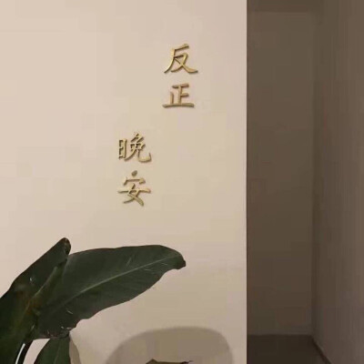 背景图 键盘