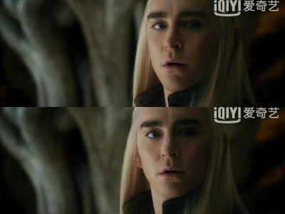 精灵王～Thranduil