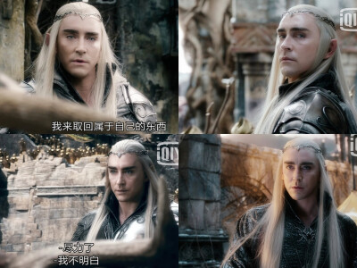 精灵王～Thranduil