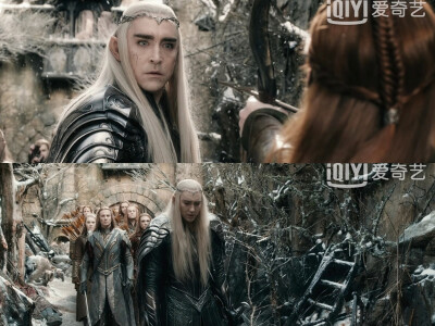 精灵王～Thranduil