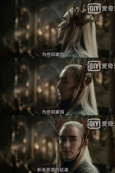 精灵王～Thranduil