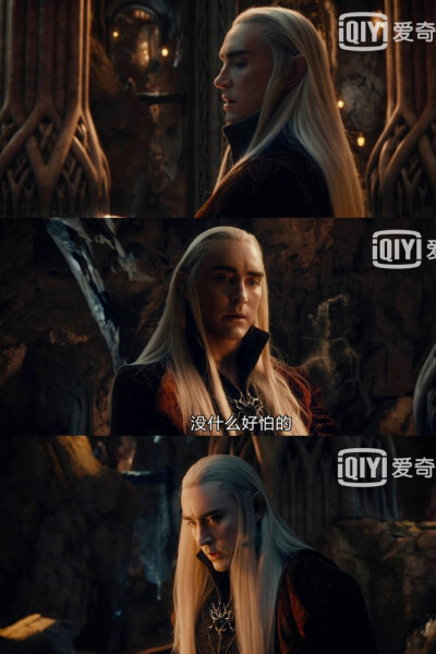 精灵王～Thranduil