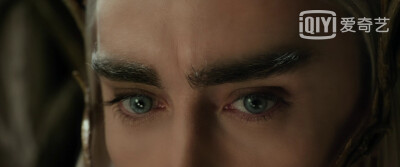 精灵王～Thranduil