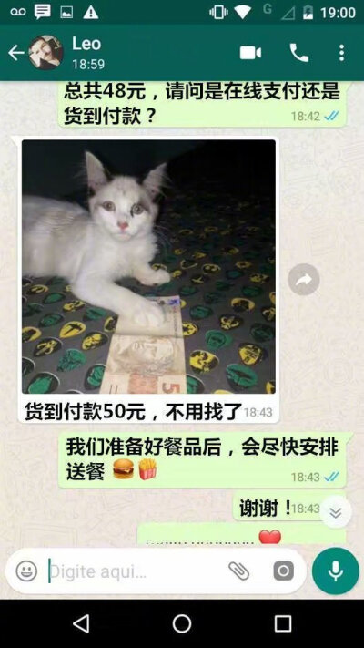 #都快忘记猫的真实长相了#汉堡店配送员分享了一个可爱的客户！！哈哈哈哈太可爱了！！！