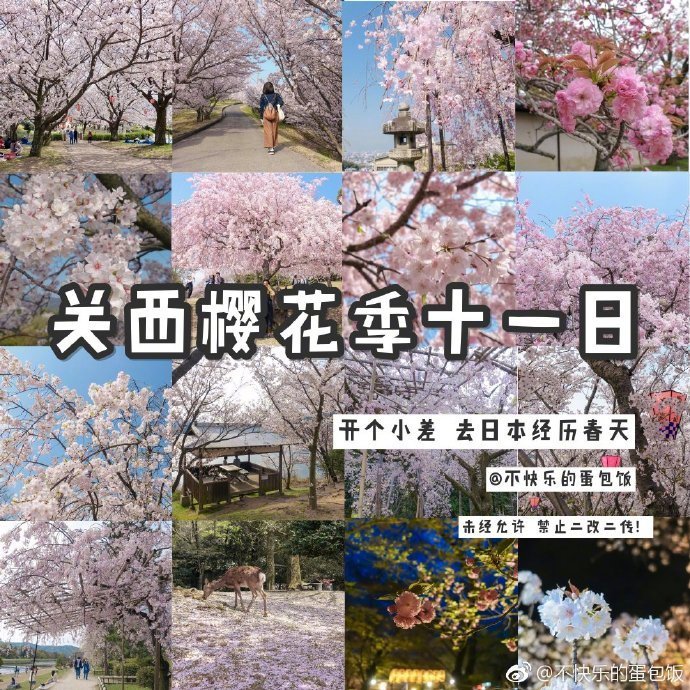 日本樱花季关西十一日游记，给今年去赏樱的你参考P1 行前准备P2 仓敷、神户、钱汤体验P3 大阪（蛋包饭、环球影城、居酒屋）P4/6 小豆岛P7 京都（晴明神社、清水寺、高台寺）P8 京都（平安神宫、南禅寺、醍醐寺、鸭川、下鸭神社、御朱印贴士）P9 奈良、京都夜游（平野神社、二条城夜樱）作者：不快乐的蛋包饭