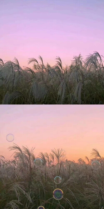 手机壁纸 全屏 风景