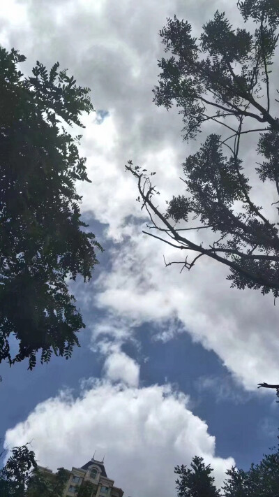 手机壁纸 全屏 风景