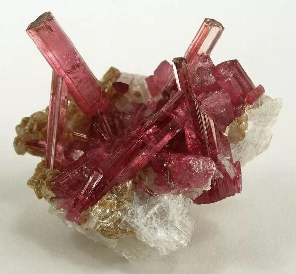 矿物名称：电气石（Tourmaline）
宝石名称：红碧玺