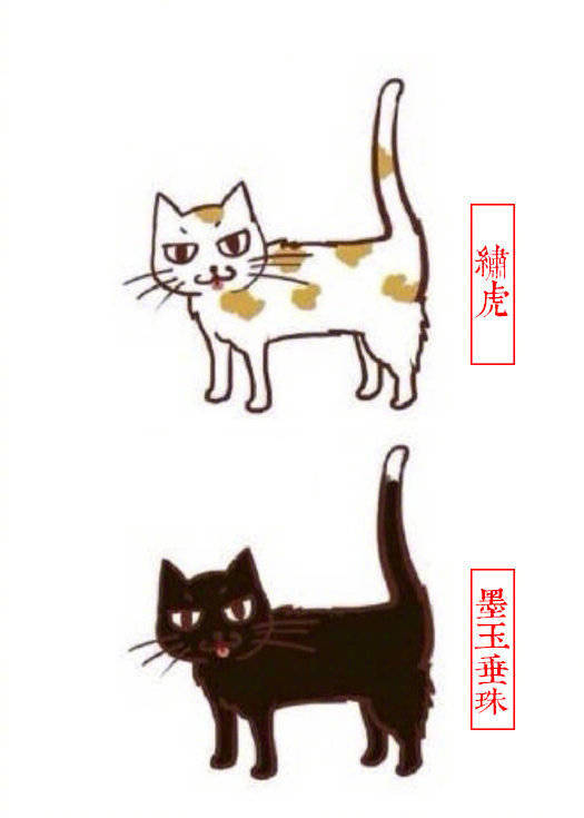 猫咪别称