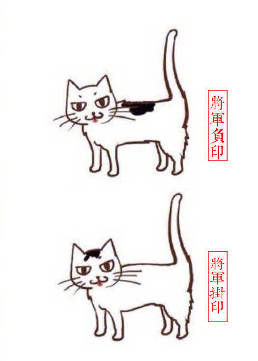 猫咪别称