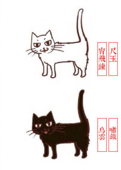 猫咪别称