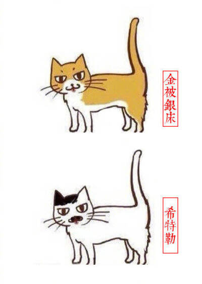 猫咪别称