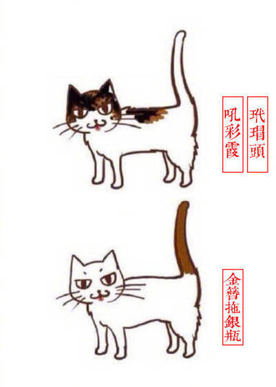 猫咪别称