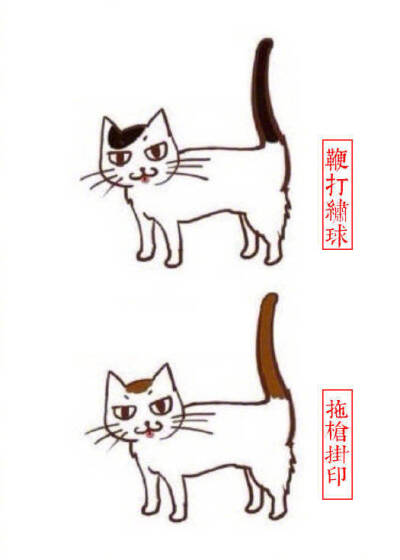 猫咪别称