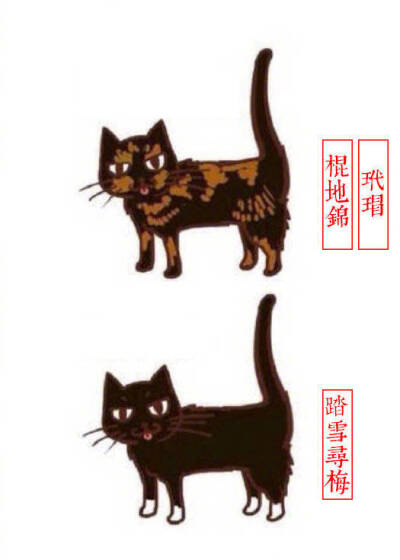 猫咪别称