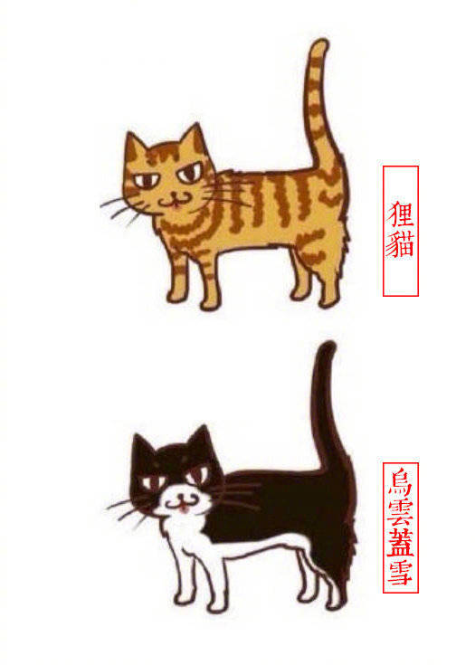 猫咪别称