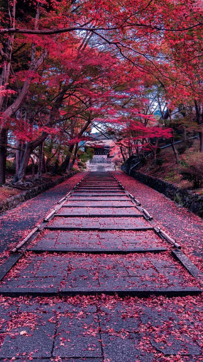 风景，愿世界温柔以待