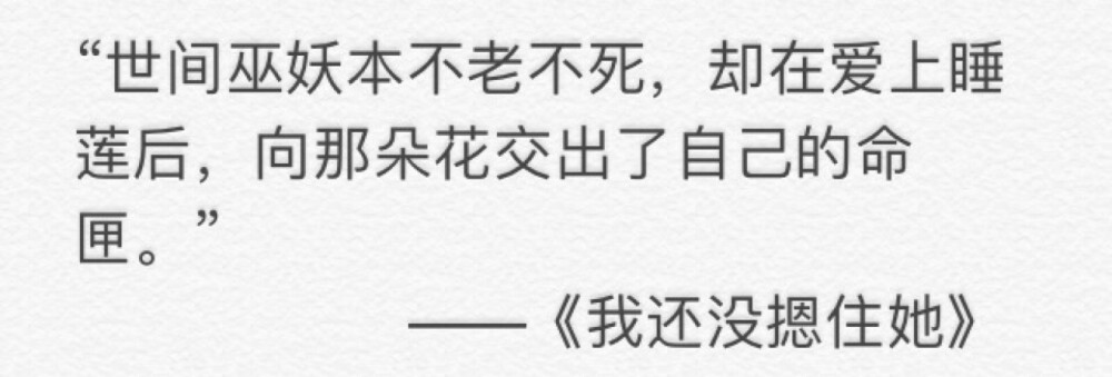 沈叙 iPhone备忘录 自选自打自截 自用书摘