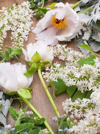 繁花.繁华