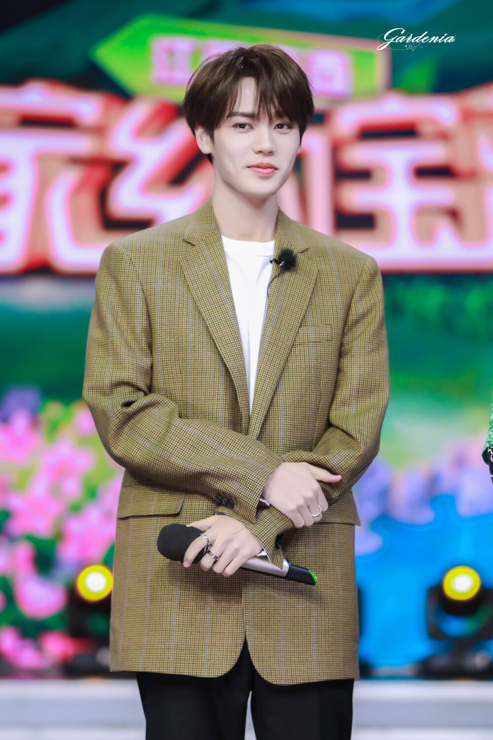 天天向上 林彦俊