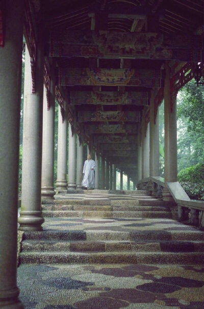 回首向来萧瑟处，归去，也无风雨也无晴 ...