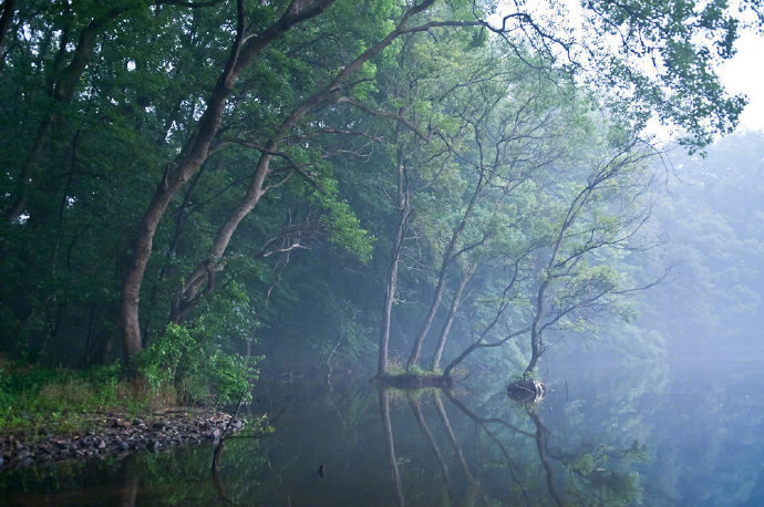 回首向来萧瑟处，归去，也无风雨也无晴 ...