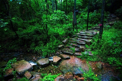 回首向来萧瑟处，归去，也无风雨也无晴 ...