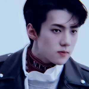 我曾厌恶爱情但你如此迷人